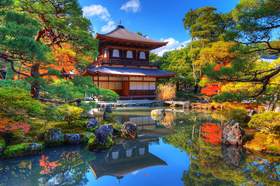 Kyoto & Mt. Fuji: Chill Time with a View