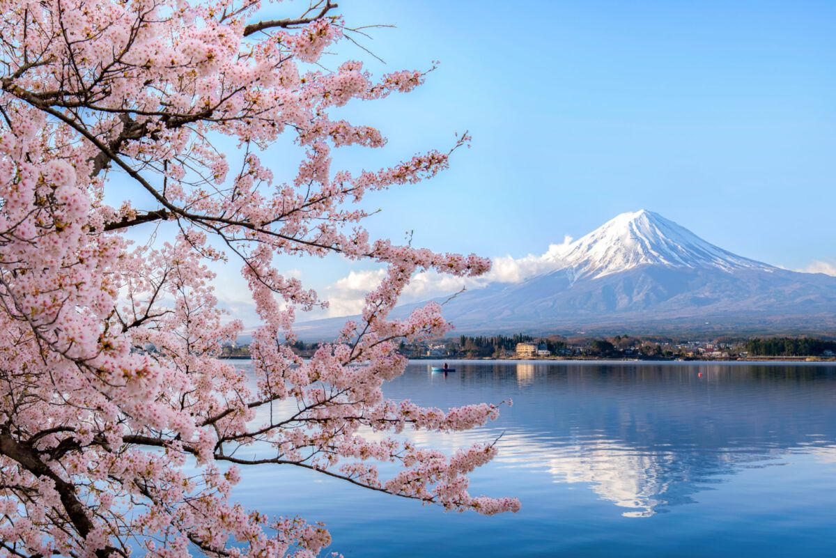 Why Japan?